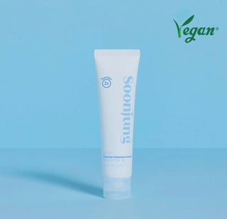 ETUDE Soonjung 2x Barrier Intense Cream 60ml