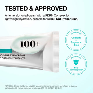 Anua PDRN Hyaluronic Acid 100 Moisturizing Cream 60ml