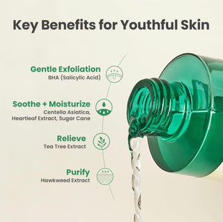 AXIS-Y Daily Purifiying Treatment Toner - Sk1ntro