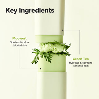 Beauty of Joseon Matte Sun Stick: Mugwort + Camelia 18g