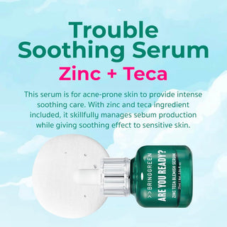 Squid Game X BRINGGREEN Zinc Teca Blemish Serum 25ml + Gonggi