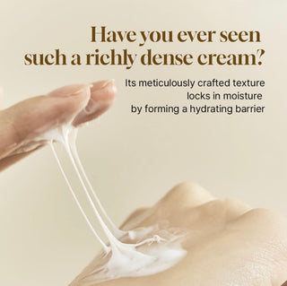HEVEBLUE Salmon Caring Centella Cream 100ml