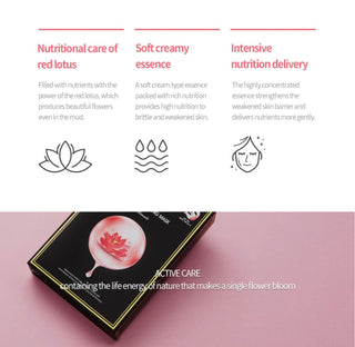 JM solution Active Lotus Nourishing Mask Box (10 Sheets) - Sk1ntro