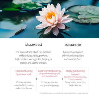 JM solution Active Lotus Nourishing Mask - Sk1ntro