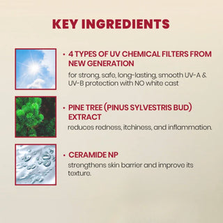 KSECRET SEOUL 1988 Sun: Pine Tree + Ceramide 50ml