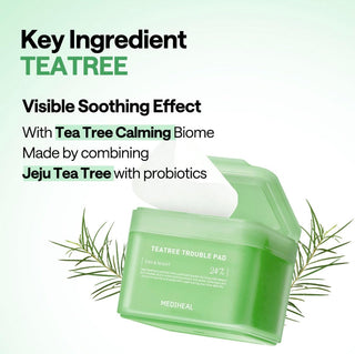 MEDIHEAL Teatree Trouble Pad 100 pads
