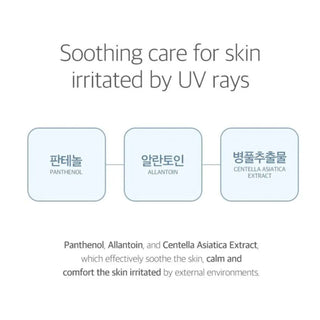 Round Lab 365 Derma Relief Sun Cream - Sk1ntro