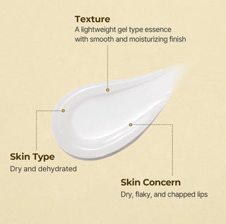 Torriden SOLID-IN Lip Essence 11ml